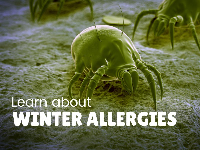 Winter Allergies